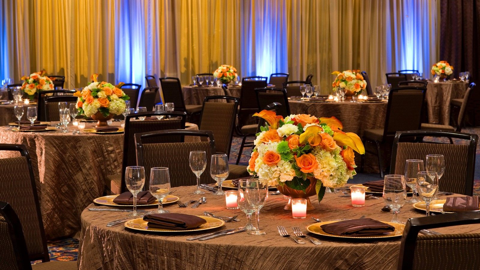 Sheraton Tampa Brandon Hotel Business photo